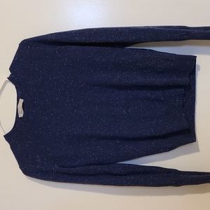 Everlane Cashmere Crewneck Sweater